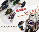 フルオーダーメイドで『昆虫標本』つくります 世界にひとつだけ。記録と記憶に残るをお手伝い♪ イメージ2