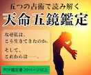 天命五鏡鑑定｜五つの占術であなたの人生を鑑定します 四柱推命・算命学・九星気学・紫微斗数・数秘術で20ページ鑑定 イメージ1