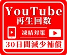 格安☑YouTube再生回数5000回増やします ＋5000回～格安対応！30日間減少保証付き イメージ1