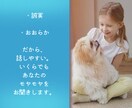 どうでもよくない、どうでもいいこと聞きます 「（どうでもよくない）どうでもいいこと」話してみませんか？ イメージ5