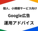 Google広告運用の改善アドバイスをいたします 無駄な広告費を抑えて、費用対効果を最大化します イメージ1