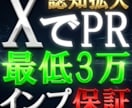 Xアカウント、商品、サービスをPRします 最短1日で3万インプレッション以上露出可能 イメージ1