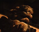 写真の素材提供･合成を行ってます 最大限丁寧なサービスを心がけております！ イメージ4