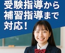 理数専門のオンライン授業をします ベテラン講師によるわかりやすい授業 イメージ2