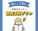 文章力アップ！徹底添削します 深く、丁寧に。文章表現で導く説得力 イメージ1