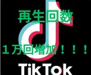 TikTokの動画再生回数増加します TikTok動画宣伝します！動画再生数増加確実です！ イメージ1