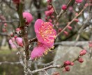 高次の神様からのメッセージお伝えします 沢山の神様から、あなたのお悩みをアドバイスして頂きます イメージ4