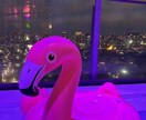 はじめまして！いろんなはなしなんでもききます よく優しい声って言われます。1度だけでも声きいてみませんか？ イメージ4