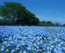 なんでも相談♪ちょっと聞いて〜というお話伺います 5分だけお試しもOK！看護師兼カウンセラーに話してみて♪ イメージ3