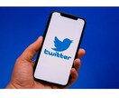 Twitterフォロワーを増やす悪魔の手法教えます フォロワーを爆発的に増やした悪魔のSNS術 イメージ1