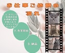 素早く品質の良い動画編集承ります 動画内容に合わせた柔軟な編集！安心感も合わせてお任せ！ イメージ5