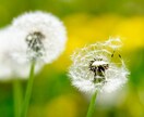 現役の保健室の先生があなたとお話します 30分間ワンコイン♡トークルームで気軽にお話しましょ♡ イメージ10