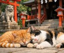 タロットで現状・未来・潜在意識を読み解きます 恋愛のお悩みを整理し具体的なアドバイスをお伝えします イメージ4