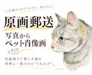 原画郵送：写真からペット肖像画を色鉛筆で描きます 大切な「うちの子」を、世界に一枚だけの手描き作品に イメージ1