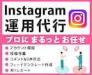 Instagram本気で１ヶ月運用代行します SNSマーケティングならお任せください！ イメージ1