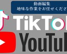 Youtubeなどテロップ地味な作業をお手伝います 地味な作業お任せください！！！ イメージ1