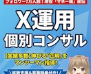 フォロワー7万の拡散特典付　X運用コンサルします フォロワー7万超が、あなたのX運用を直接指導＆拡散します！ イメージ1