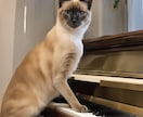 ピアノ伴奏音源作成します プロの作編曲がピアノ伴奏音源を作成します イメージ1