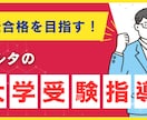 ビデオチャットで大学受験の相談うけつけます 受験に関する事前相談・なんでもご相談ください イメージ1
