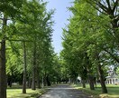 恋愛の分からない点を共にお考えします 恋愛は自分を知る絶好の機会です。気楽に共に考えます。 イメージ1