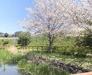 復縁で一番効果的な方法が研究されたので語ります 科学的根拠に基づいてアドバイスさせて頂きます！ イメージ1