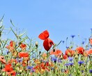 5分だけでもOK♪あなたの気持ちに寄り添います 老若男女歓迎♡話す前よりスッキリ✨ただひたすら喋りませんか イメージ5