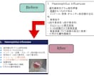 元医療系大学教員がパワーポイント資料作成代行します 迅速・丁寧にパワーポイント作成 医療・教育・研究・会議など! イメージ5