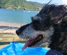 あなたの言葉の手をそっと支えます 貴方の心の声話したいこと本気で話してみませんか？ イメージ1