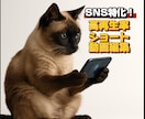 SNS特化！高再生率を狙うショート動画編集します SNS集客やブランディングに効果的 イメージ1