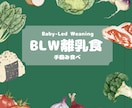 BLW実践ママが、離乳食相談に乗ります 赤ちゃん主導の食事で不安を解消！ イメージ1