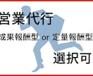 営業代行します 成果報酬or定量課金 選択OK！テレアポ/ＤＭ/訪問etc イメージ2