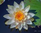 あなたの前世を観ます 前世から引き継がれているものをお伝えします。 イメージ1