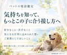 ペットの気持ちと仕草の理由を霊視でお伝えします 今いる子も旅立った子も、受け取った想いを丁寧にお伝えします イメージ3