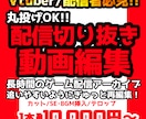 ゲーム配信アーカイブを見やすく再編集します あなたの配信の見どころ、初見でも追いやすい構成に整えます！ イメージ1