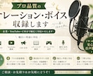 プロ品質のナレーションを収録します 企業・YouTube・CMまで幅広く対応いたします イメージ1