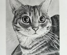 犬・猫を鉛筆画でリアルな似顔絵を描きます お気に入りの画像を絵にして飾ってみませんか‼️ イメージ3