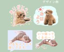 販売まで対応可！LINEスタンプ作ります 大切なお子様やペットなど、スタンプにしたい写真を送るだけ！ イメージ6