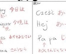 ポーランド語⇄日本語の通訳・翻訳致します ポーランド語⇄日本語の通訳・翻訳致します。 イメージ2