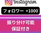 Instagramフォロワー+1000人増やします 正規の宣伝で安心・丁寧にサポート イメージ1