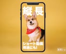 映像の人物のうしろに演出テロップを合成します 実写動画のマスキング処理＋テロップ合成処理 イメージ10