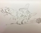 格安で犬や猫の鉛筆画を描きます 個展開催経験者が写実的に描きます♪記念などに☆ イメージ4