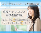 90分！2級キャリコン技能士のロープレします 現役カウンセラーによるじっくり丁寧なロープレと振り返り！ イメージ1