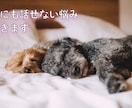 会話で心を軽くしませんか？あなたの話聞きます 「１対１でゆっくり話してみませんか」 イメージ8