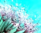彼の気持ちをお伝えする霊視鑑定で恋愛成就に導きます 片思いの彼と相性を占い、縁結びを施し、両思いに進展させます イメージ3