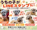 ペットの写真でかわいいLINEスタンプを作ります うちの子のかわいさを、毎日使えるスタンプに！ イメージ1