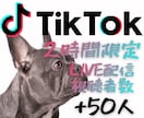 2時間限定✨ライブ配信視聴者50人増やしますます Tiktok✨配信を盛り上がっている空間に変える即効ブースト イメージ1