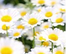 辛いこと、苦しいこと、どんなお悩みでもお聞きします ココロをラクに。。。あなたの笑顔が増えますように✩.*˚ イメージ1