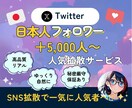 Twitterのフォロワー＋5000人増やします 高品質フォロワー　垢振り分け可能 イメージ1