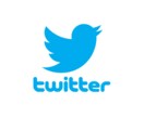 資格を持つプロがTwitter運用を代行します 1か月～長期サブスクもOK！効果的な運用で売上＆集客UP イメージ1