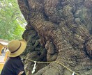 不動明王の炎のエネルギーで浄化守護します 強い邪念・生霊・邪魔する存在を跳ね返す イメージ4